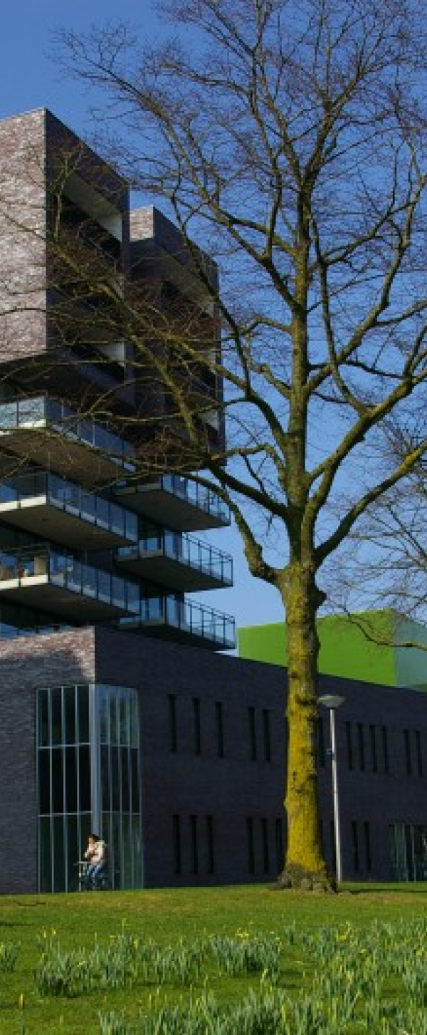 De Kiepe 1.jpg