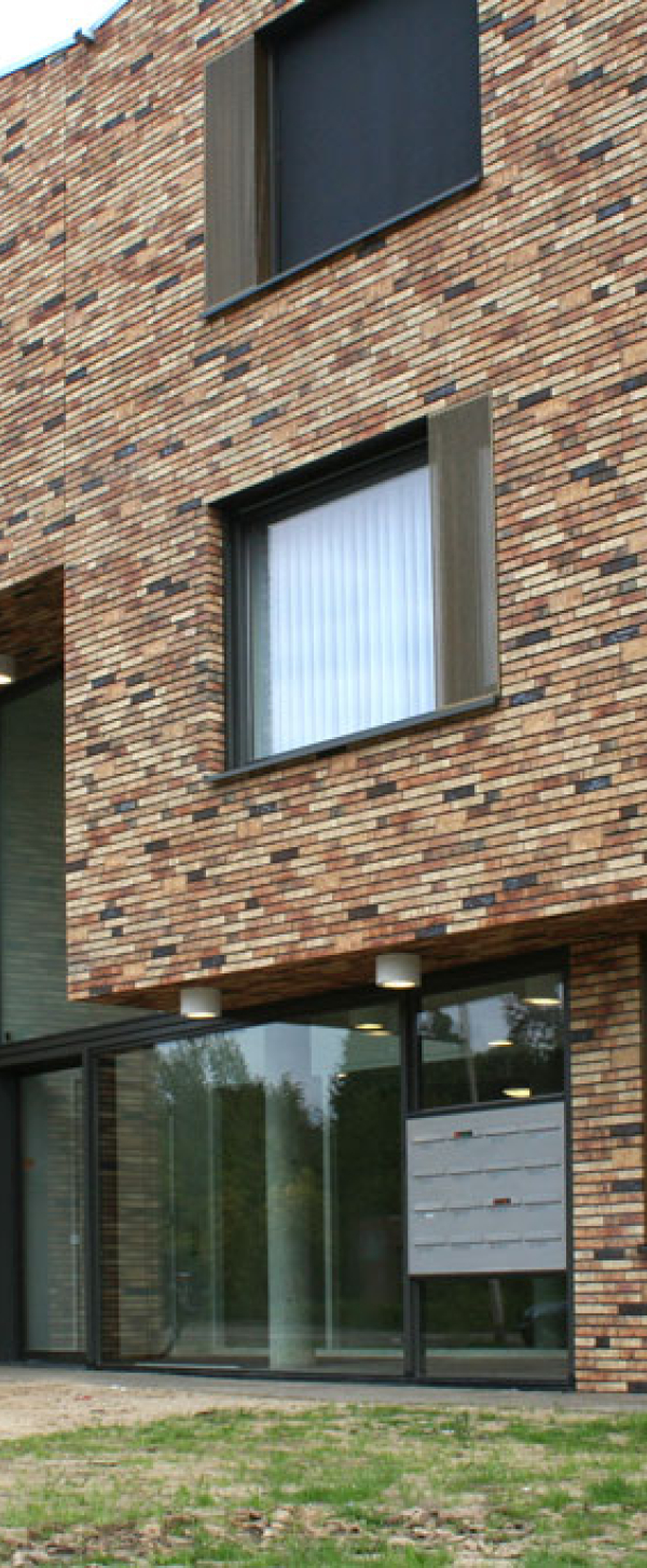 Tieker 11.jpg