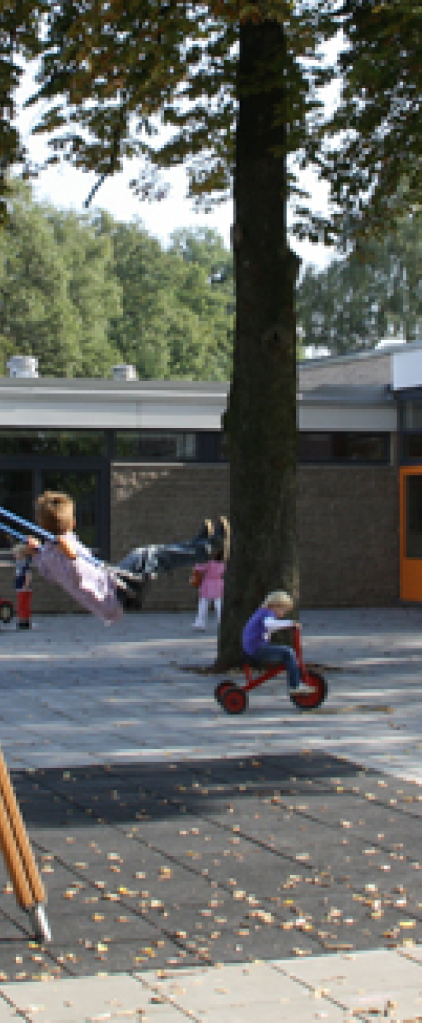 photo.jpg