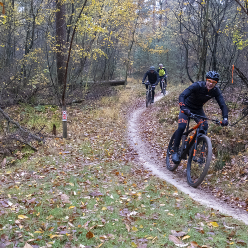 fietser bospad.jpg