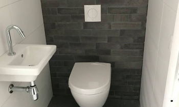 toilet .jpg