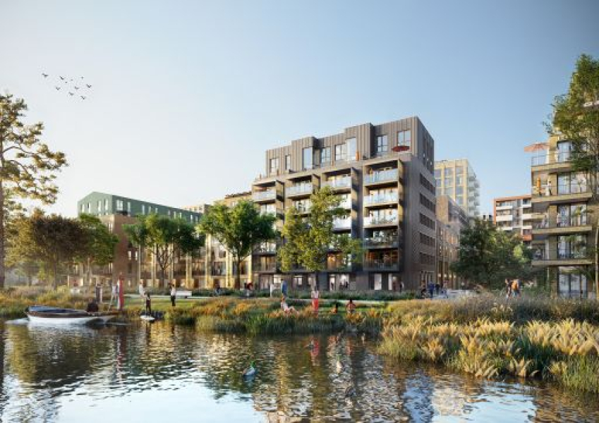 BloomZuid