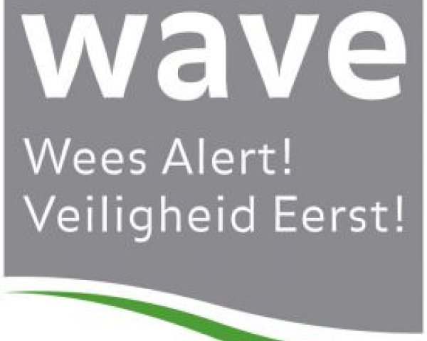 wave.jpg