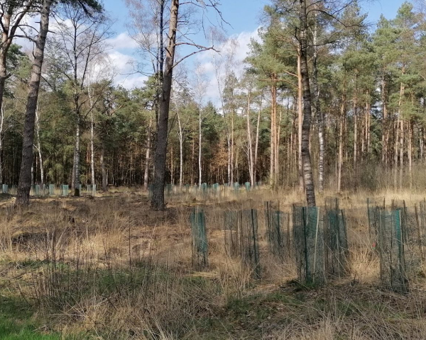 Klimaatbos stekken emissie2030.jpg