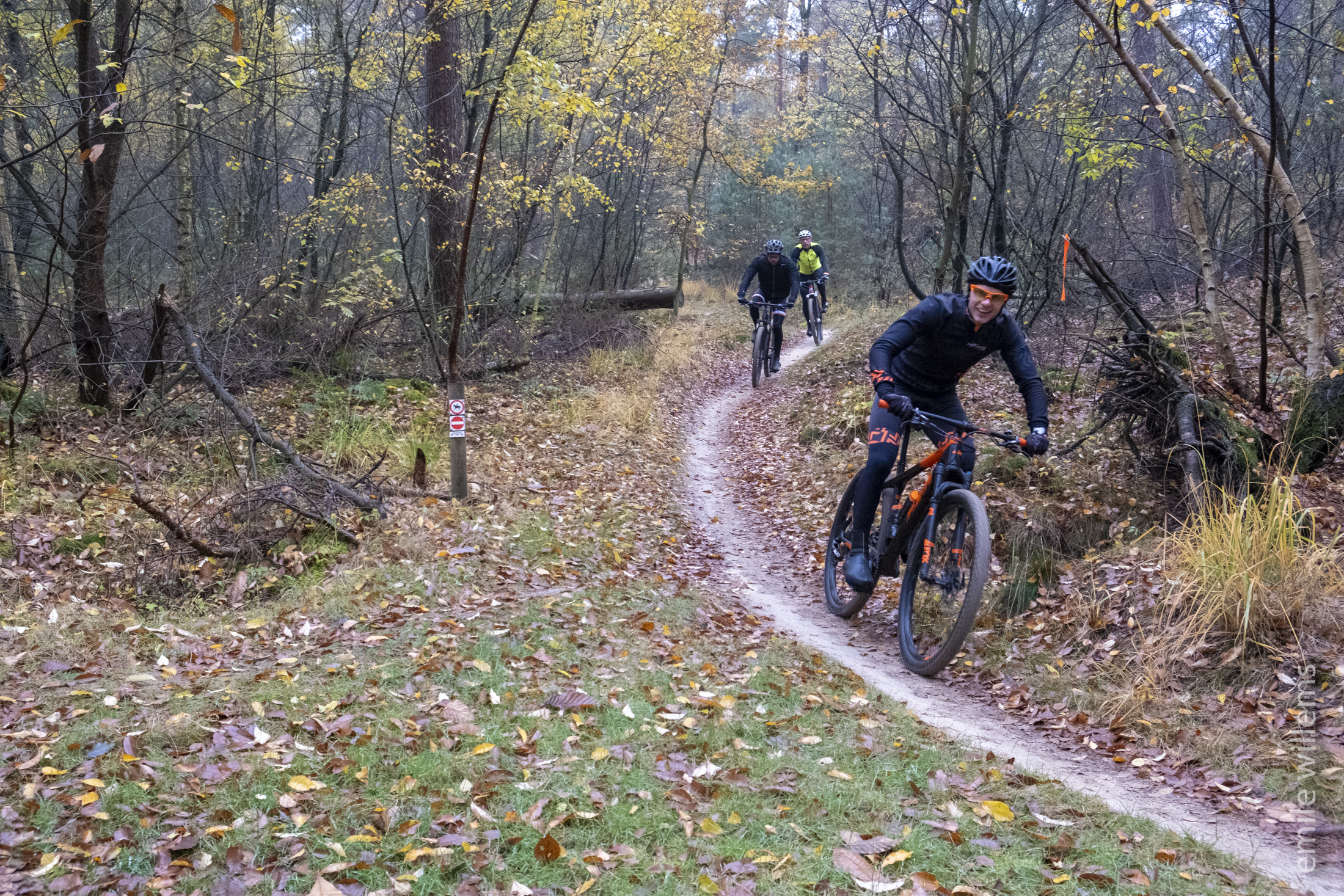 fietser bospad.jpg